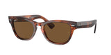 Ray Ban Laramie 2201 Sunglasses