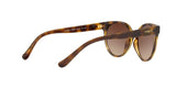 W65613 - Havana - Brown Gradient