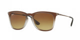 Ray Ban 4221F Sunglasses