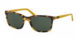 Polo 4103 Sunglasses