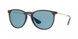 Ray Ban Erika 4171 Sunglasses