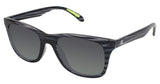 Champion CU6009 Sunglasses