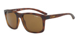 Arnette Complementary 4233 Sunglasses