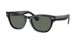 Ray Ban Laramie 2201 Sunglasses