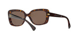 500373 - Shiny Dark Havana - Brown