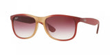 Ray Ban Andy 4202 Sunglasses