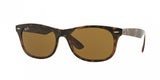 Ray Ban Folding 4223 Sunglasses