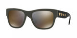 Versace 4319 Sunglasses