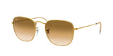 Ray Ban Frank 3857 Sunglasses