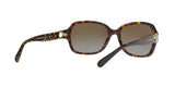 5507T5 - Dark Tortoise - Brown Gradient Polar