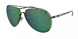 Emporio Armani 2073 Sunglasses