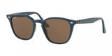 Ray Ban 4258 Sunglasses