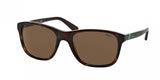 Polo 4085 Sunglasses