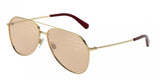 Dolce & Gabbana 2244 Sunglasses