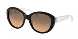 Coach 8106 Sunglasses