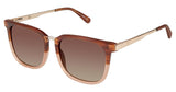 Sperry SPNEWBURYPORT Sunglasses