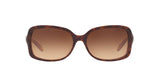159613 - Havana - Brown Gradient