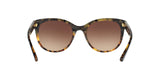 160113 - Havana - Dark Brown Gradient