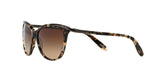 146213 - Brown - Dark Brown Gradient