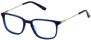 Perry Ellis 423 Eyeglasses