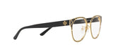 3256 - Shi Black / Shiny Gold
