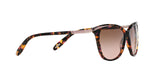 146114 - Pink - Brown Rose Gradient