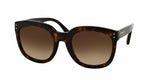 Coach 8047 Sunglasses