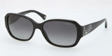 Coach 8011BM Sunglasses