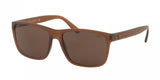 Polo 4113 Sunglasses