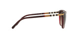301413 - Bordeaux - Brown Gradient