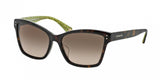 Coach 8107F Sunglasses