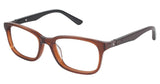 Champion CU7006 Eyeglasses