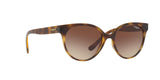 W65613 - Havana - Brown Gradient