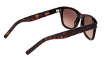 004 - Havana/Havana - Brown
