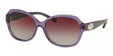 Coach L133 8150 Sunglasses