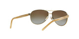 101/T5 - Gold - Polar Brown Gradient
