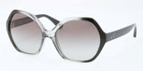 Coach 8065 Sunglasses