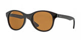 Ray Ban 4203 Sunglasses