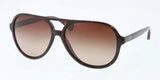 Coach 8073 Sunglasses