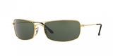 Ray Ban 3334I Sunglasses