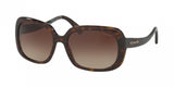 Coach L1591 8178 Sunglasses