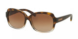 Michael Kors Mitzi Iii 6037 Sunglasses