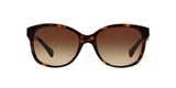 137813 - Havana - Brown Gradient