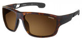 Carrera 4006 Sunglasses