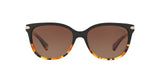 5438T5 - Havana - Brown Gradient Polar