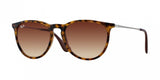 Ray Ban Erika 4171 Sunglasses