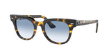 Ray Ban Meteor 2168 Sunglasses