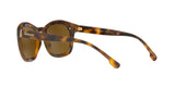 527673 - Havana - Brown