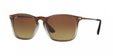 Ray Ban Chris 4187 Sunglasses