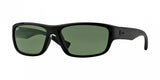 Ray Ban 4196 Sunglasses